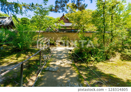 [Nara Prefecture] Toshodaiji Temple, Nara City (photographed on July 10, 2025) 128314805
