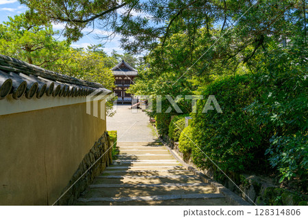 [Nara Prefecture] Toshodaiji Temple, Nara City (photographed on July 10, 2025) 128314806