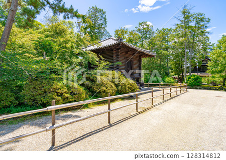 [Nara Prefecture] Toshodaiji Temple, Nara City (photographed on July 10, 2025) 128314812