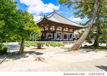 【奈良縣】奈良市唐招提寺（2025年7月10日拍攝） 128314818