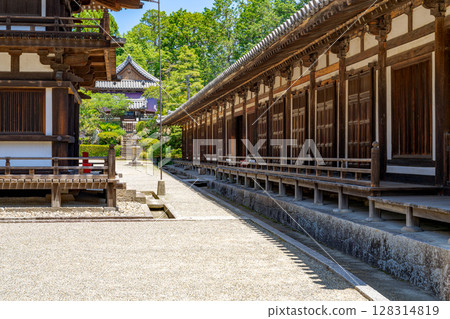 [Nara Prefecture] Toshodaiji Temple, Nara City (photographed on July 10, 2025) 128314819
