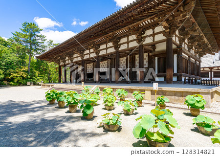 【奈良縣】奈良市唐招提寺（2025年7月10日拍攝） 128314821
