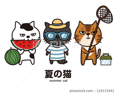 Summer cat 128315642