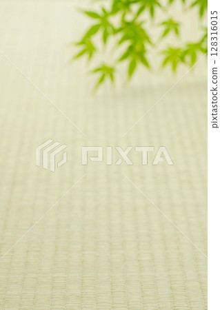 榻榻米和楓樹 榻榻米和楓樹 128316015