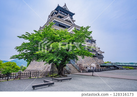 (熊本縣)晴空下的熊本城 (熊本縣)晴空下的熊本城 128316173