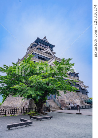 (Kumamoto Prefecture) Kumamoto Castle under clear skies (Kumamoto Prefecture) Kumamoto Castle under clear skies 128316174
