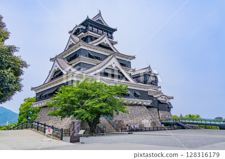 (Kumamoto Prefecture) Kumamoto Castle under clear skies 128316179