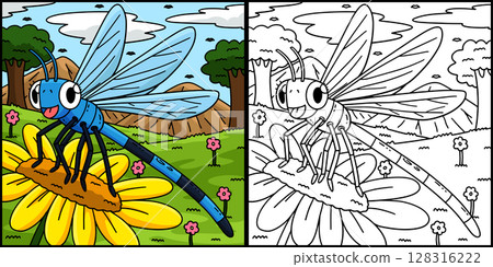 Insect Damselfly Animal Colored Illustration  128316222