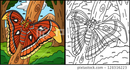 Insect Atlas Moth Animal Colored Illustration Insect Atlas Moth Animal Colored Illustration 128316223