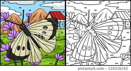 Insect Cabbage White Butterfly Illustration  128316242