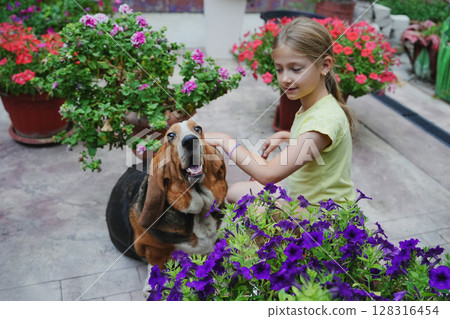 Girl sitting in garden with flowers and hugging basset hound Girl sitting in garden with flowers and hugging basset hound 128316454