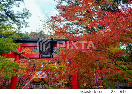 秋葉紅豔的桑山神社 128316483