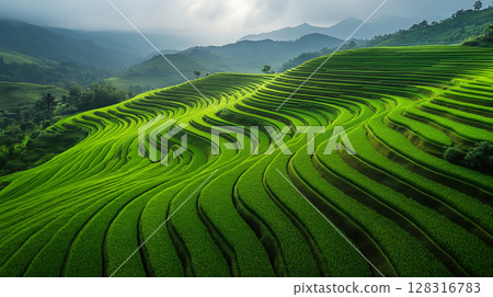 Terraced rice fields creating geometric patterns across mountain landscape, showcasing sustainable agriculture and traditional farming methods in Asian countryside 128316783