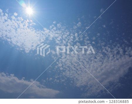 蠟雲 蠟雲 128316885