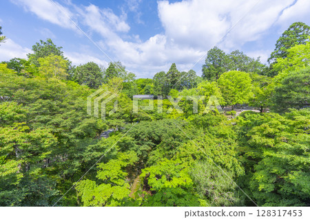 被綠楓環繞的東福寺仙玉館(京都市東山區) 被綠楓環繞的東福寺仙玉館(京都市東山區) 128317453