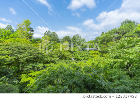 被綠楓環繞的東福寺仙玉館（京都市東山區） 128317458