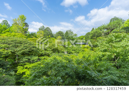 被綠楓環繞的東福寺仙玉館（京都市東山區） 128317459