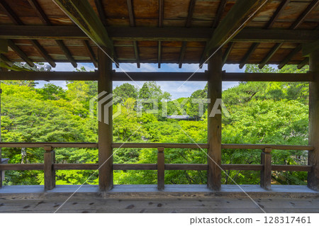 Tofukuji Temple's Sengyokukan garden surrounded by green maples (Higashiyama Ward, Kyoto City) Tofukuji Temple's Sengyokukan garden surrounded by green maples (Higashiyama Ward, Kyoto City) 128317461
