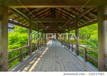 夏日的東福寺：空曠的通天橋（京都市東山區） 128317463
