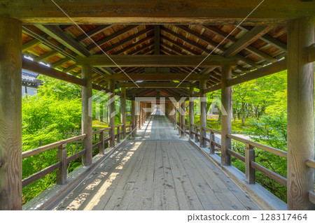 夏日的東福寺：空曠的通天橋（京都市東山區） 128317464