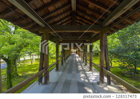 Tofukuji Temple in summer: An empty Tsutenkyo Bridge (Higashiyama Ward, Kyoto City) Tofukuji Temple in summer: An empty Tsutenkyo Bridge (Higashiyama Ward, Kyoto City) 128317473
