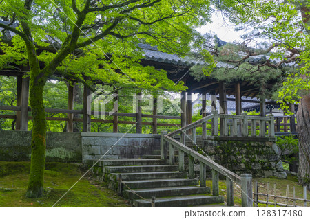 Fresh greenery in Kyoto, Tofukuji Temple, Tsutenkyo Bridge surrounded by green maples 128317480