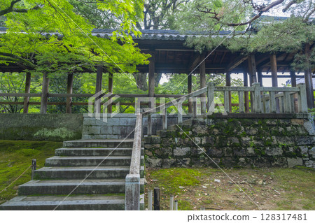 Fresh greenery in Kyoto, Tofukuji Temple, Tsutenkyo Bridge surrounded by green maples 128317481
