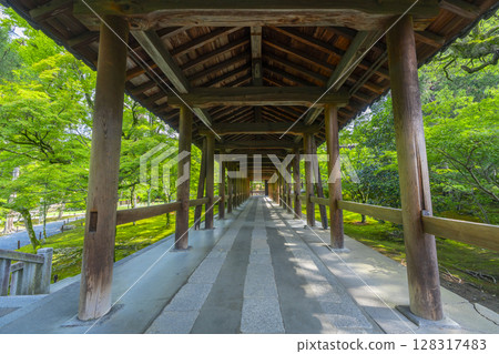 夏日的東福寺:空曠的通天橋(京都市東山區) 夏日的東福寺:空曠的通天橋(京都市東山區) 128317483