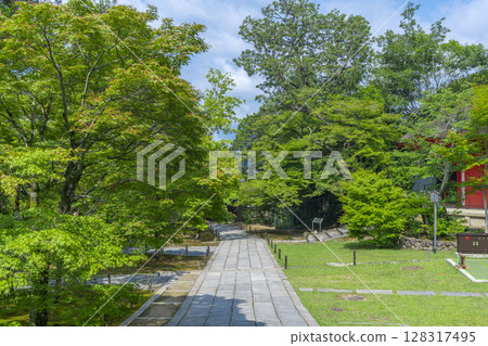 Kyoto's Tofukuji Temple: A garden surrounded by green maples 128317495