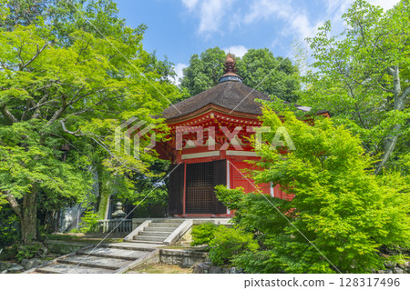 Fresh greenery in Kyoto - Tofukuji Temple - Aizendo Hall surrounded by green maples 128317496