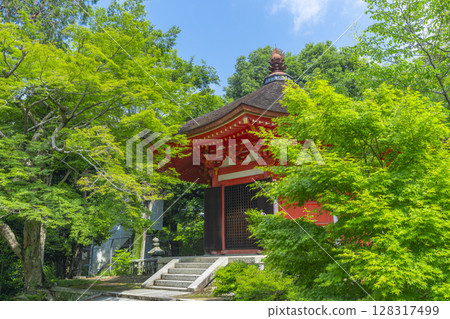 Fresh greenery in Kyoto - Tofukuji Temple - Aizendo Hall surrounded by green maples Fresh greenery in Kyoto - Tofukuji Temple - Aizendo Hall surrounded by green maples 128317499