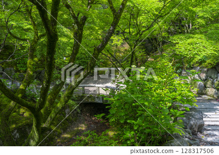 京都東福寺:綠楓環繞的花園 京都東福寺:綠楓環繞的花園 128317506