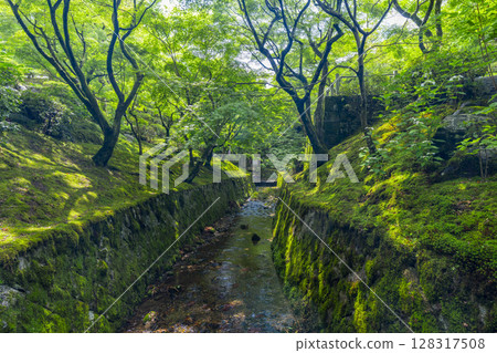 京都的新綠,東福寺,泉玉館被綠楓環繞 京都的新綠,東福寺,泉玉館被綠楓環繞 128317508