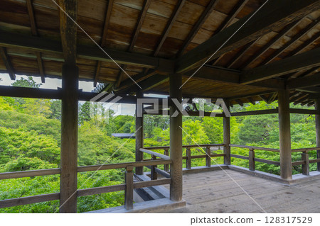 從東福寺通天橋欣賞美麗的綠色楓葉（京都市東山區） 128317529