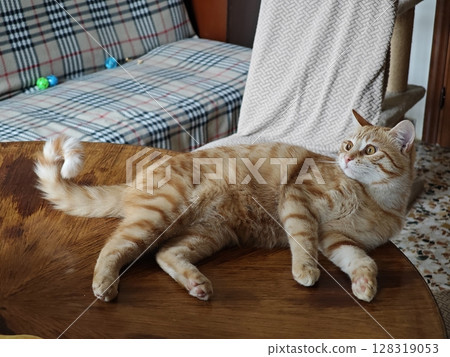 Orange tabby cat lounging comfortably on a wooden table in a cozy living room filled with soft textures and playful decor 128319053