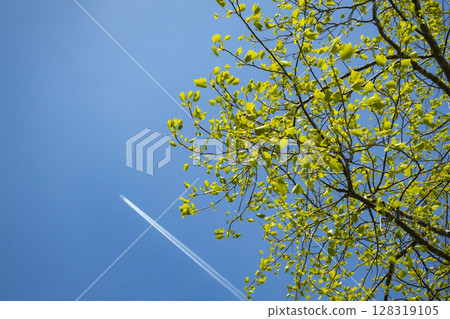 A refreshing departure sky A refreshing departure sky 128319105