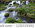 吹出公園清澈的小溪 128319302