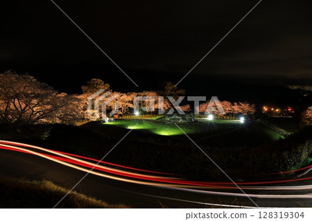 Illuminated Ishibutai in Spring 128319304