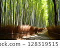 Bamboo grove in Sagano 128319515
