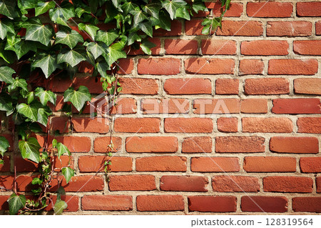 復古紅磚牆和常春藤 128319564
