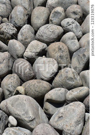 橫須賀城遺址：用河床的圓石砌成的石牆，在日本其他城堡中是罕見的。 128319876