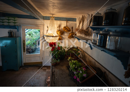 Entrance to greenhouse from plant flower store. Small private garden shop selling plants, soil 128320214