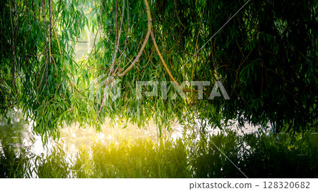 Weeping willow on a pond in santeny, france Weeping willow on a pond in santeny, france 128320682