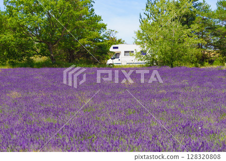 Caravan camping at lavender field, France Caravan camping at lavender field, France 128320808