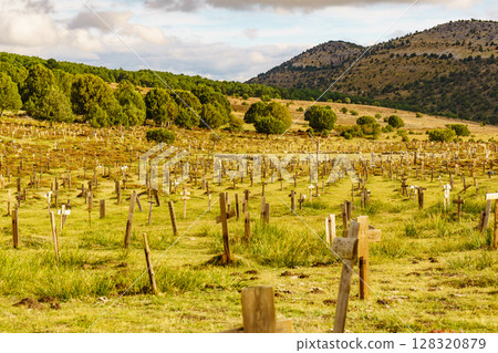 Sad Hill Cemetery in Spain. Tourist place 128320879
