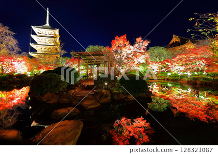 [Kyoto Prefecture] Autumn leaves light up at Toji Temple (special night viewing) 128321087