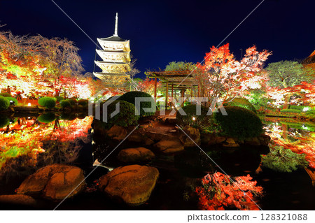 [Kyoto Prefecture] Autumn leaves light up at Toji Temple (special night viewing) 128321088