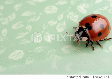 Ladybug insect on a red nature macro background with polka spring wildlife features Ladybug insect on a red nature macro background with polka spring wildlife features 128321131