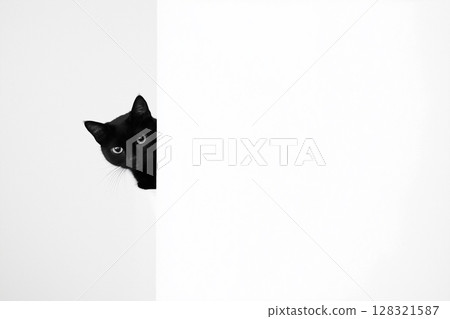 Black cat portrait with cute animal eyes and mysterious expression, photography background 128321587
