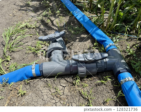 Water supply system efficiently distributing hydration throughout a cornfield, promoting healthy crop growth and ensuring optimal conditions for sustainable agriculture and farming practices Water supply system efficiently distributing hydration throughout a cornfield, promoting healthy crop growth and ensuring optimal conditions for sustainable agriculture and farming practices 128321736